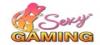 AE Sexy Gaming